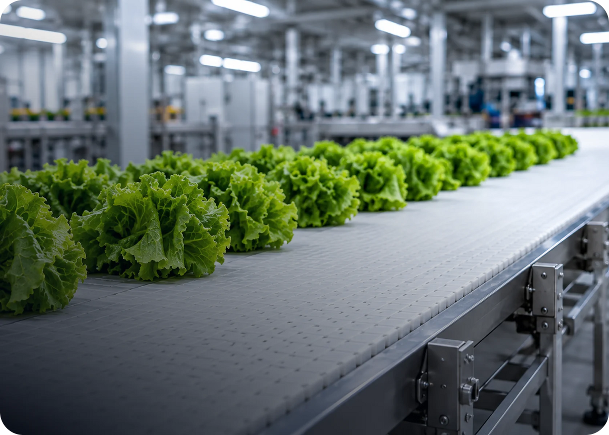 Food processing